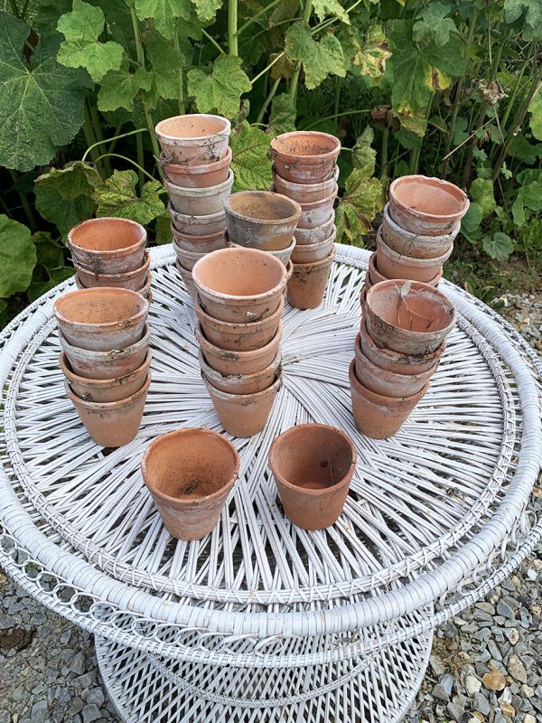 6 Pots à Semis Vintage en Terre Cuite