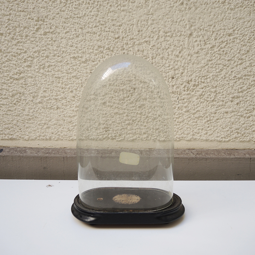 globe-mariee-napoleon-vintage Ancienne Globe de Mariée Napoléon III