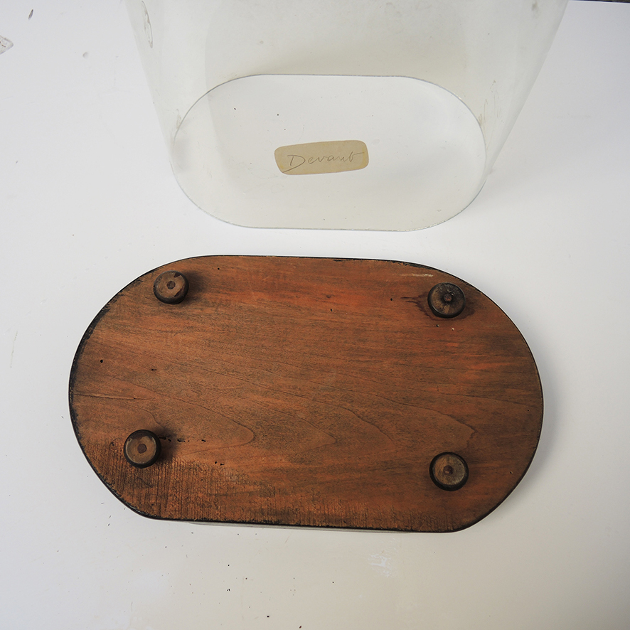 Ancienne Globe de Mariée Napoléon III (2)