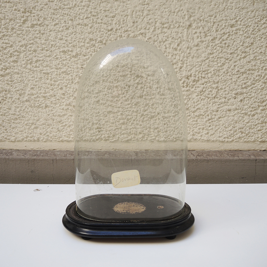 Ancienne Globe de Mariée Napoléon III (3)