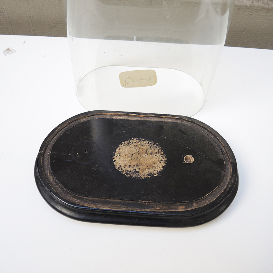 Ancienne Globe de Mariée Napoléon III (4)