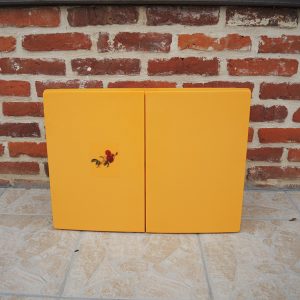 Ancienne Armoire de Pharmacie en Plastique Orange