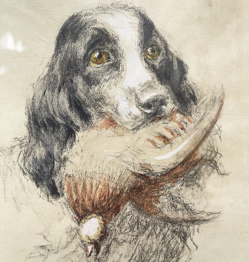 3 Anciens Dessins - Portraits de Chiens de Chasse - Henri Vincent Anglade – Image 6