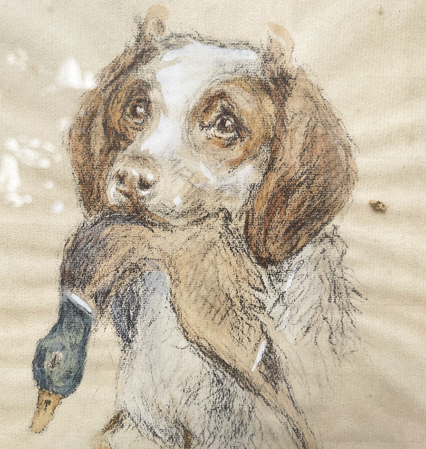 3 Anciens Dessins - Portraits de Chiens de Chasse - Henri Vincent Anglade – Image 5