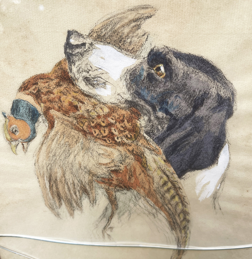 3 Anciens Dessins - Portraits de Chiens de Chasse - Henri Vincent Anglade – Image 7